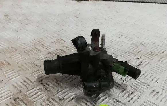 Thermostat/thermostat housing