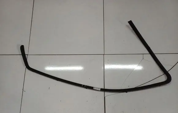 Renault Laguna III Front door glass trim molding 1487413077