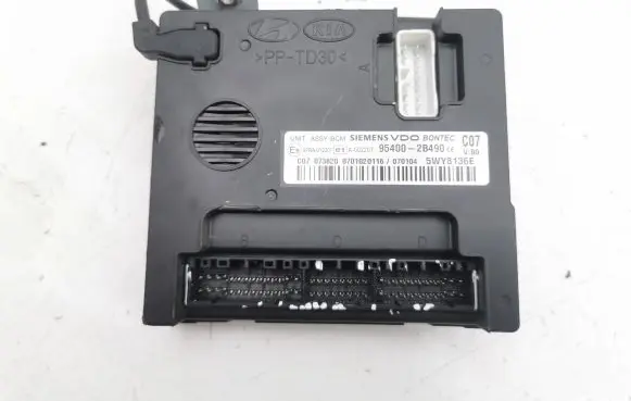 Hyundai Santa Fe Immobilizer control unit/module 954002B490
