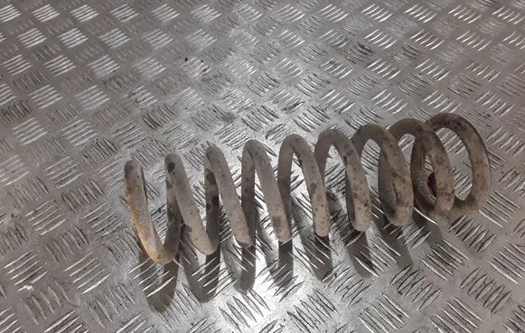 Chrysler Pacifica Rear coil spring