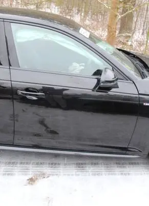 Audi A4 S4 B9 Front door