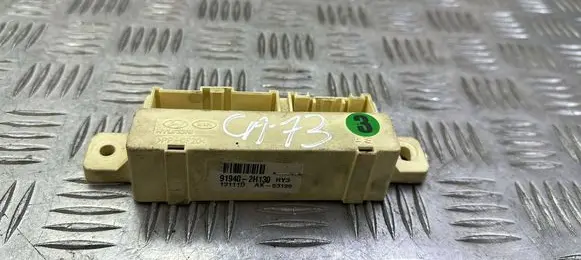 Door central lock control unit/module