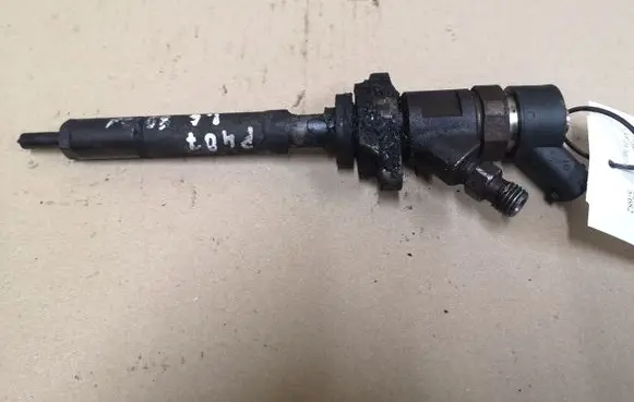 Citroen C4 I Fuel injector 0445110259