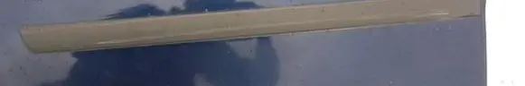 Ford Focus C-MAX Rear door trim (molding)