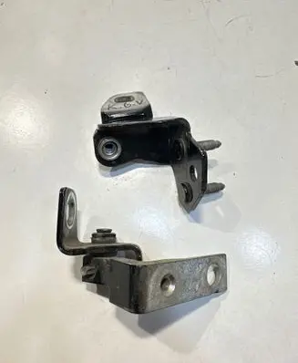 Rear door lower hinge
