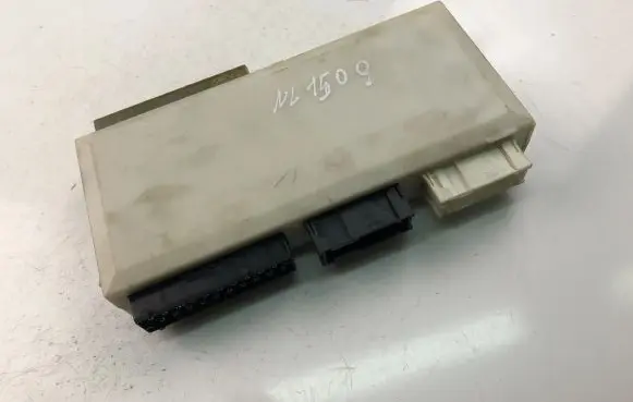BMW 5 E39 Other control units/modules 8381962