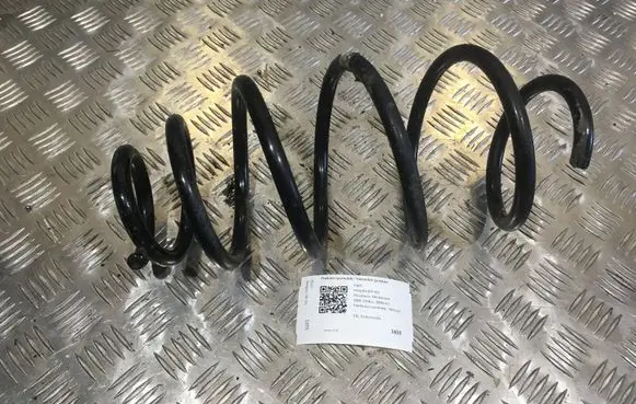 Front coil spring