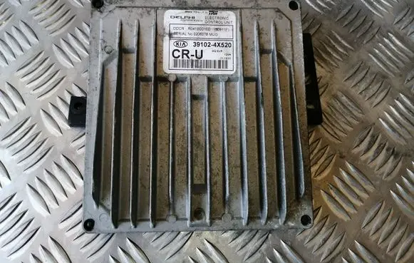 KIA Carnival Engine control unit/module 391024X520