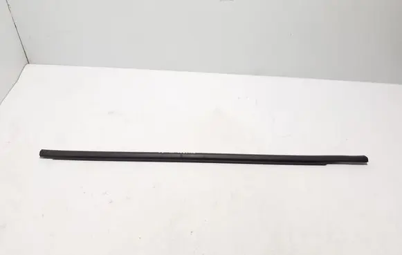 Renault Austral Front door glass trim molding 808201152R