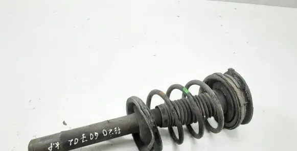 Peugeot 607 Front shock absorber with coil spring