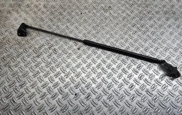 Nissan Juke I F15 Tailgate/trunk strut/damper 