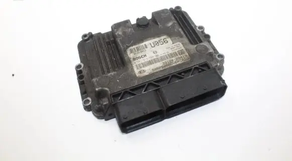 KIA Carens III Engine control unit/module 0281019598 391202A413