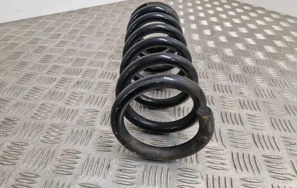 Rear coil spring