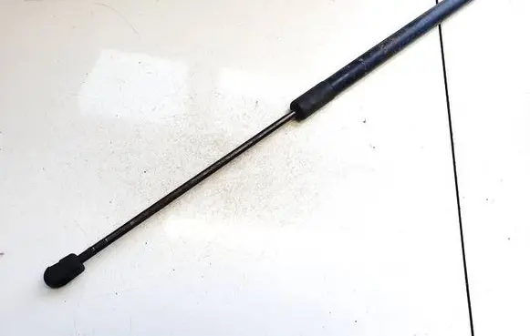 Tailgate/trunk strut/damper
