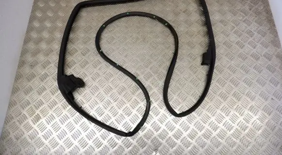 Lexus RX 450H Rubber seal rear door 6787248080
