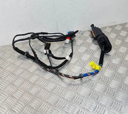 Hyundai Kona I Front door wiring loom 91610J9130 19212123 190222