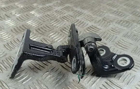 Jaguar F-Pace Rear door hinge set 