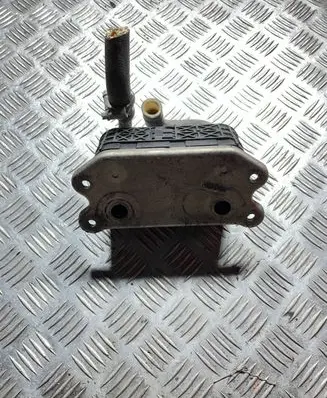 Volvo V70 Engine oil radiator 8677973 C5850 110105