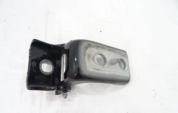 Rear door lower hinge