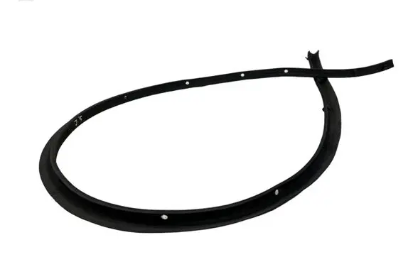Renault Megane III Rubber seal rear door 