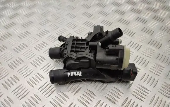 Thermostat/thermostat housing