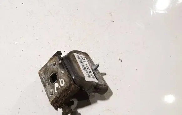 Peugeot 307 Front door upper hinge
