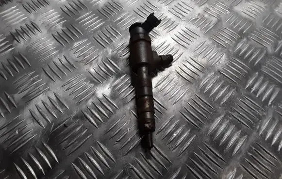 Citroen C3 Picasso Fuel injector 0445110340