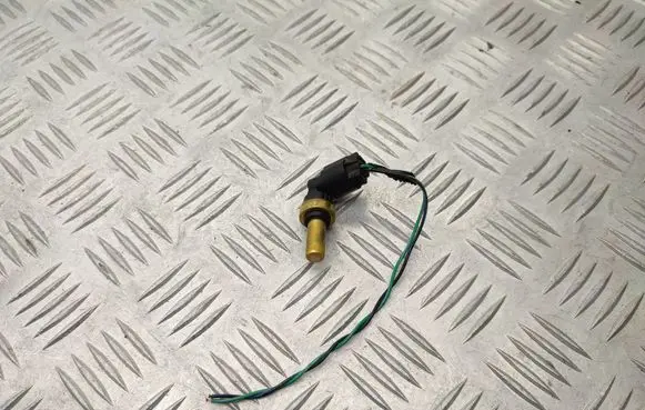Opel Mokka X Coolant temperature sensor 55591002