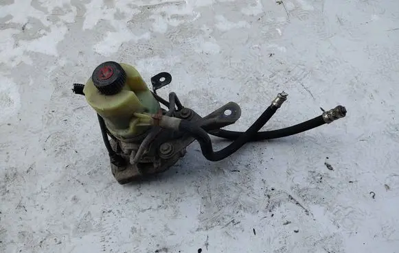 Renault Trafic III (X82) Power steering pump 491181208R