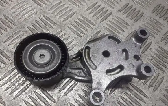Peugeot 307 Alternator belt tensioner pulley 950007