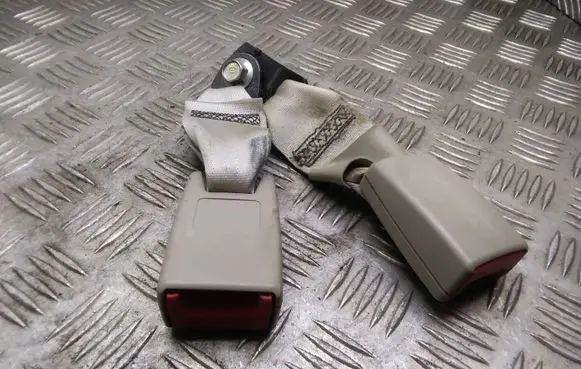 Nissan Leaf I (ZE0) Middle seatbelt buckle (rear) 