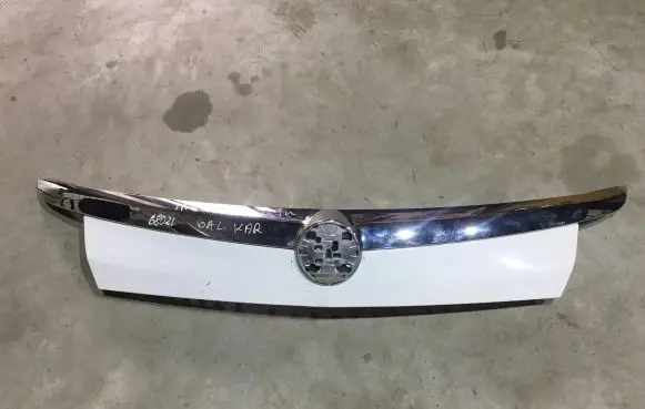 Opel Insignia A Number plate light 461088395
