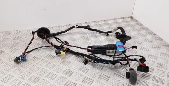 Front door wiring loom