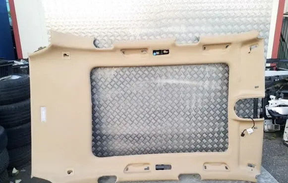 Porsche Cayenne (92A) Headlining 7P5867501D