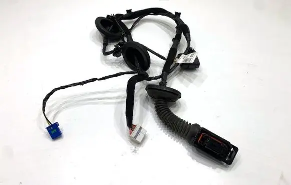 KIA Sportage Rear door wiring loom 91650F1070