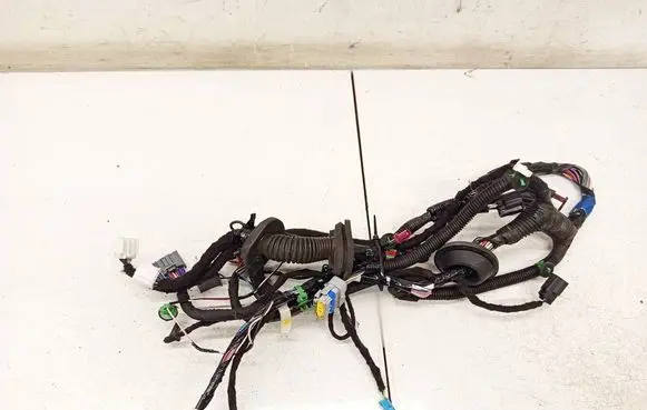 Tesla Model S Other wiring loom 100441900H