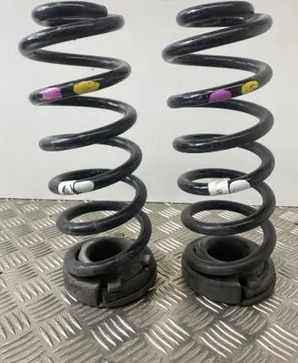 Rear coil spring