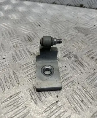 BMW X3 F25 Front door lower hinge 