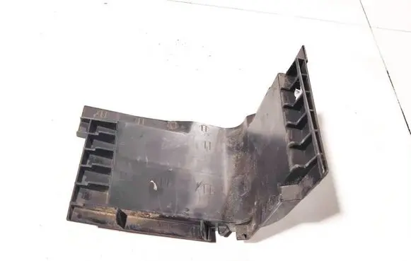 Renault Laguna III Other interior part 244310007r