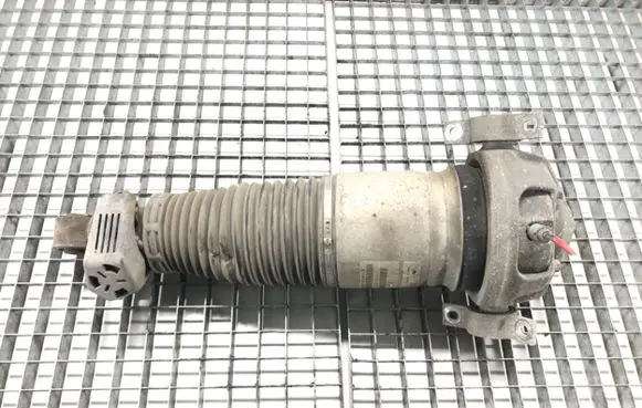 Porsche Cayenne (9PA) Rear shock absorber/damper 7L5512021AM