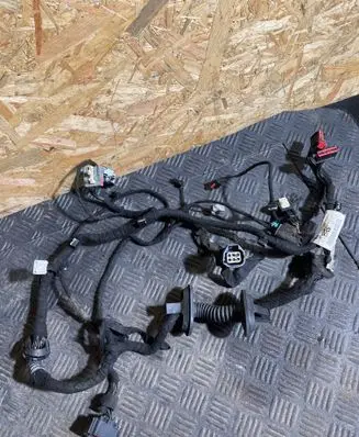Jaguar XF X250 Front door wiring loom 9X2314B121