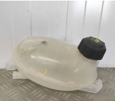 Renault Express Coolant expansion tank/reservoir 217101878R