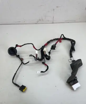 Front door wiring loom