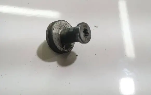 Dacia Sandero Rear door lock loop/hook striker 