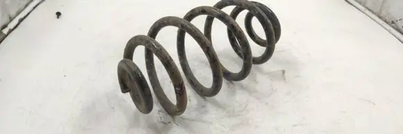 Rear coil spring