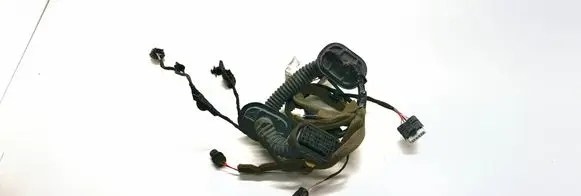 Renault Espace V (RFC) Front door wiring loom 241255790R