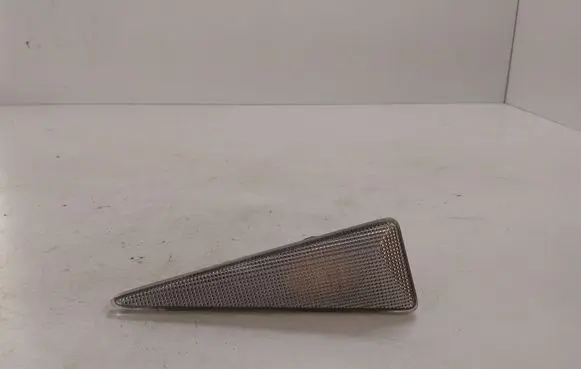Front fender indicator light