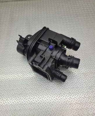 Thermostat/thermostat housing