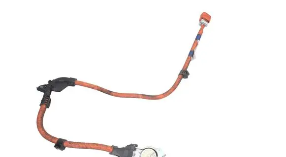 Lexus CT 200H Other wiring loom 8212202190A 8212202190