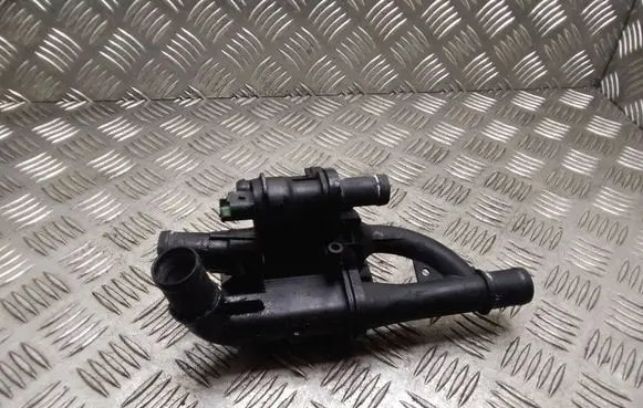 Thermostat/thermostat housing